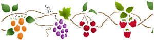 w7071co.gif (7739 bytes)